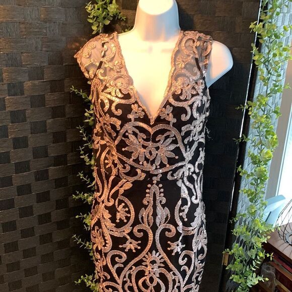 Soieblu Size Medium evening/party Dress.  Black lining with pink detailed lace - Picture 1 of 15